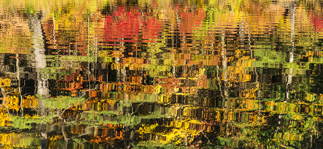 Autumn reflections, Walden Pond 2013