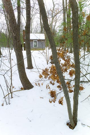 Thoreau's cabin, Walden Pond 2013