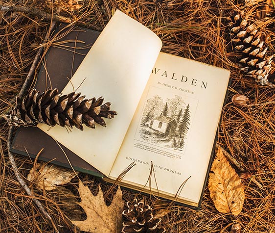 Early edition of Walden on the forest floor near Thoreau's cottage